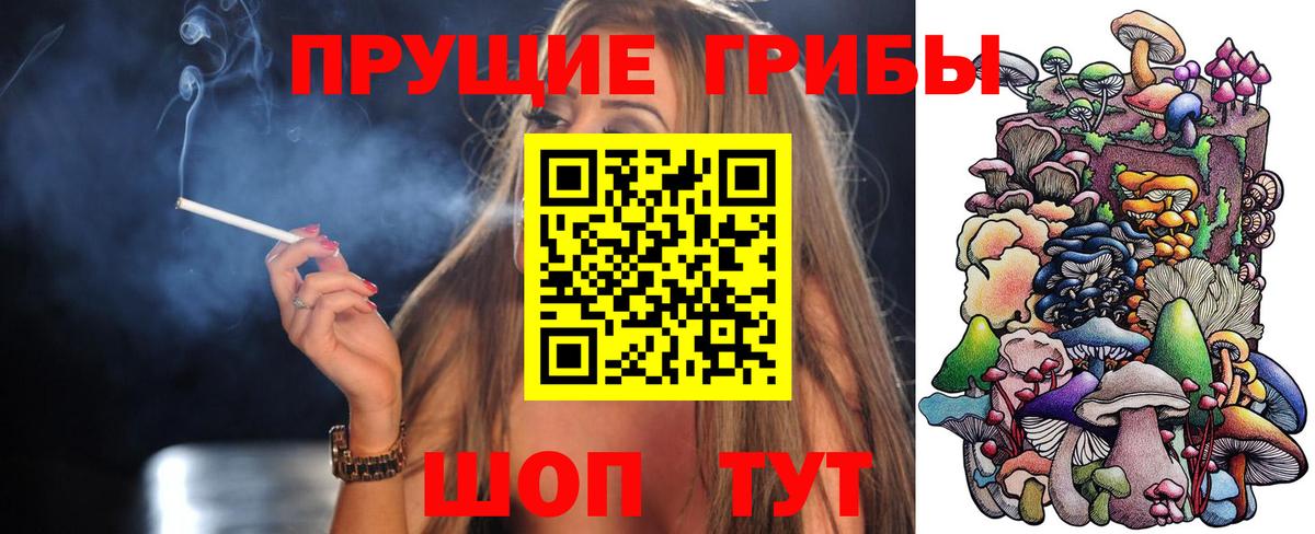 Галлюциногенные грибы Cubensis  купить наркотики цена  Менделеевск  Вход с VPN 